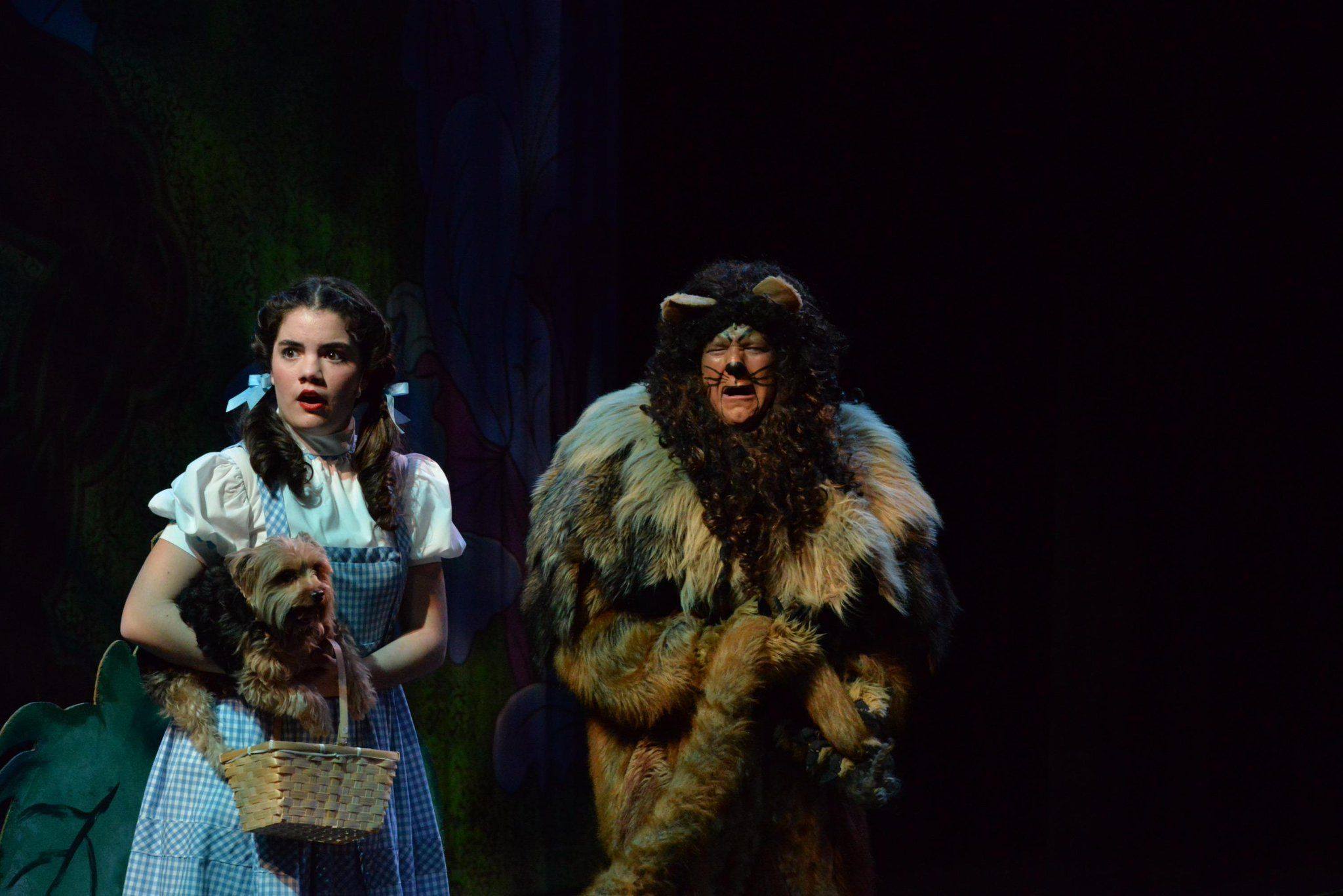 Photo - Community Theatre Greensboro